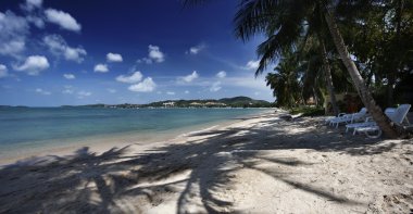 Tayland, koh samui (samui Adası), plaj ve Hindistan cevizi hurma ağaçlarının görünümü