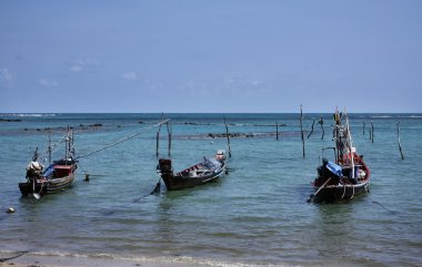 Tayland, koh samui (samui Adası), yerel balıkçı tekneleri