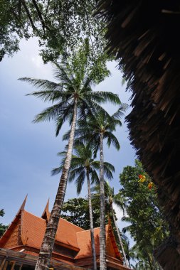 Tayland, koh samui (samui Adası), Beach Tayland tatil