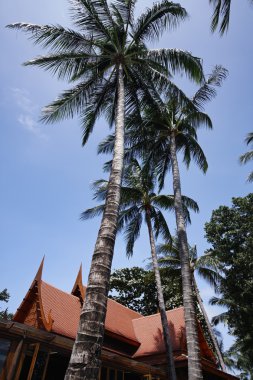 Tayland, koh samui (samui Adası), Beach Tayland tatil