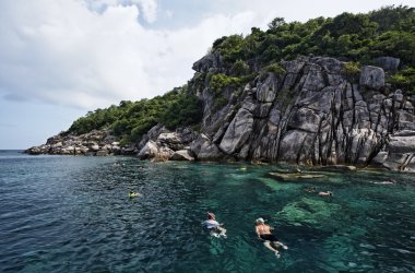 Tayland, koh nangyuan (nangyuan ada), Cilt dalgıçlar Yüzme