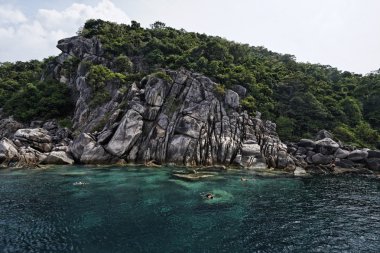 Tayland, koh nangyuan (nangyuan ada), Cilt dalgıçlar Yüzme