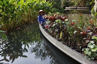bazı tropik bitkiler teknesinde Tayland, bangkok, Gül Bahçesi, Tay bahçıvan taşır