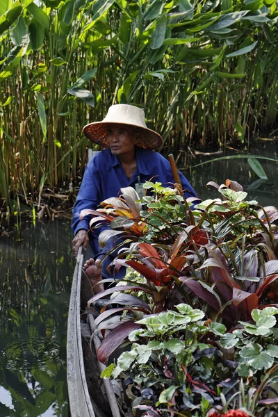 Tailândia, Bangkok, The Rose Garden, um jardineiro tailandês carrega algumas plantas tropicais em seu barco — Fotografia de Stock