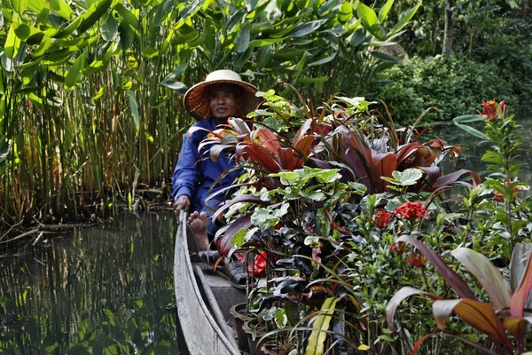 タイ、バンコク、バラ園、タイの庭師は彼のボートのいくつかの熱帯植物を運ぶ — ストック写真