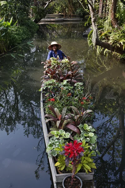 Thailandia, Bangkok, il Rose Garden, un giardiniere thai porta alcune piante tropicali sulla sua barca — Foto Stock