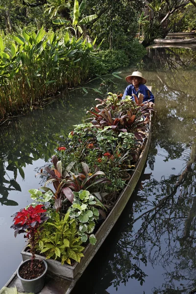タイ、バンコク、バラ園、タイの庭師は彼のボートのいくつかの熱帯植物を運ぶ — ストック写真