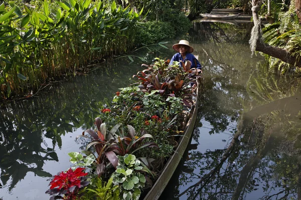 Thajsko, bangkok, růžovou zahradu, thajské zahradník nese některé tropické rostliny na lodi — Stock fotografie