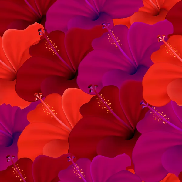 Flor de hibisco — Archivo Imágenes Vectoriales