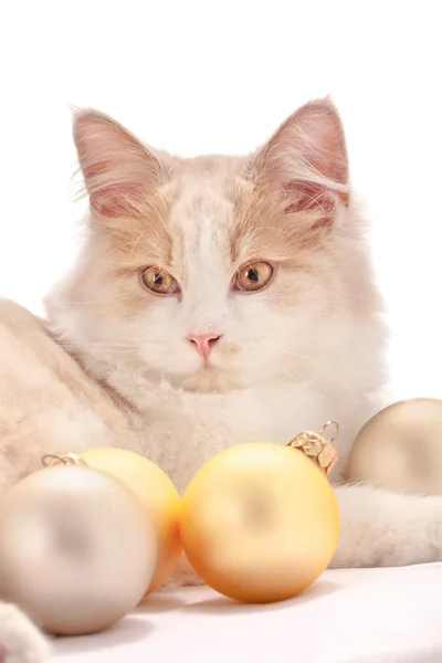 Kotek z ozdób choinkowych — Zdjęcie stockowe