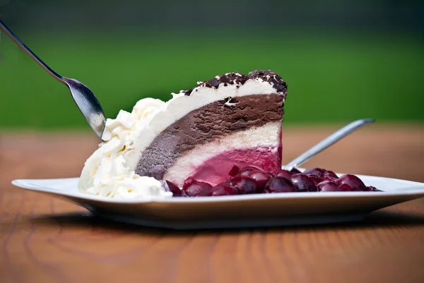 Шматочок шоколадного кремового торта — стокове фото
