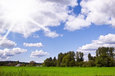 Farmer field clipart