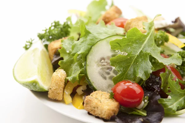 stock image Green salad