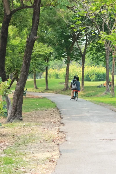 Прогулка в парке, где женщина на велосипеде — стоковое фото