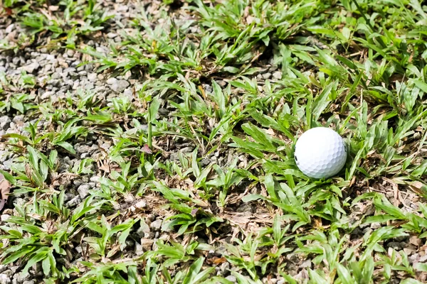 White Golf ball on green grass — Stock Photo, Image