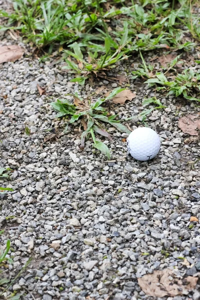 Pallina da golf bianca su erba verde — Foto Stock