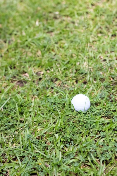 푸른 풀 위에 있는 하얀 골프공 — 스톡 사진