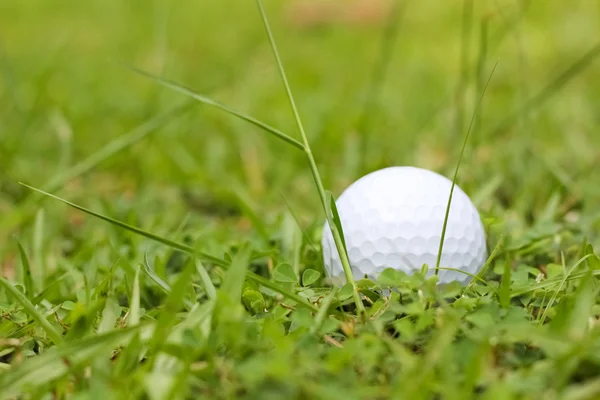 Yeşil çimlerde beyaz golf topu — Stok fotoğraf