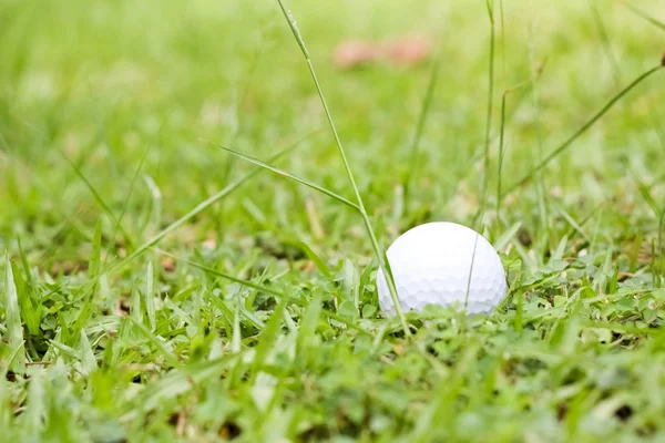 Balle de golf blanche sur herbe verte — Photo
