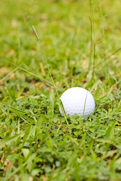 푸른 풀 위에 있는 하얀 골프공 — 스톡 사진