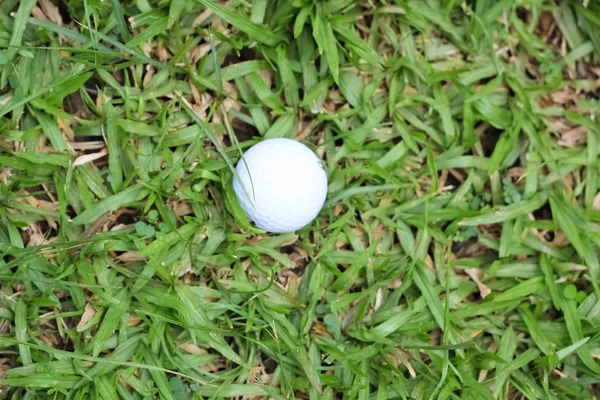 Bola de golfe branco na grama verde — Fotografia de Stock