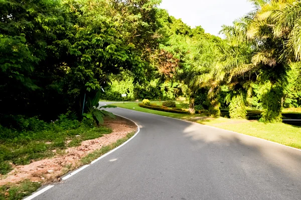 Picture of the road is long — Stock Photo, Image