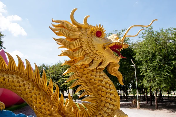 The dragon golden stucco — Stock Photo, Image