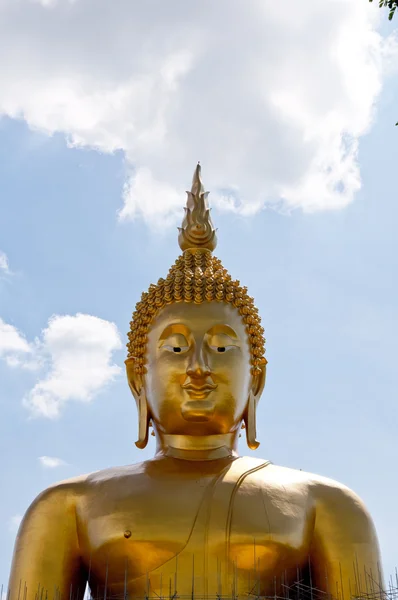 Zlatá socha lorda Buddhy hlavy — Stock fotografie