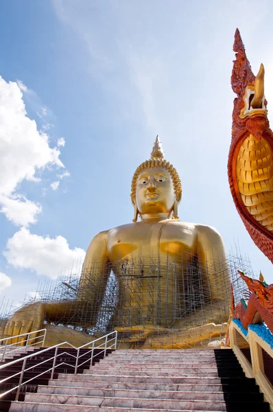 Золотая статуя главы Будды — стоковое фото