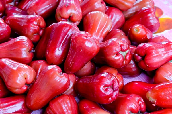 苹果红色果实 — 图库照片
