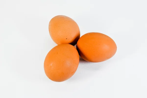 Großes Ei. — Stockfoto