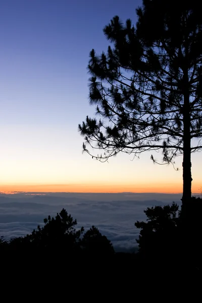 Zonsondergang op de berg — Stockfoto
