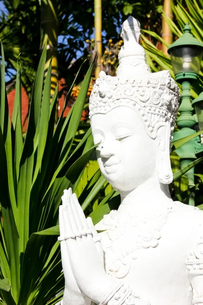 Buddha-weiße Statue — Stockfoto