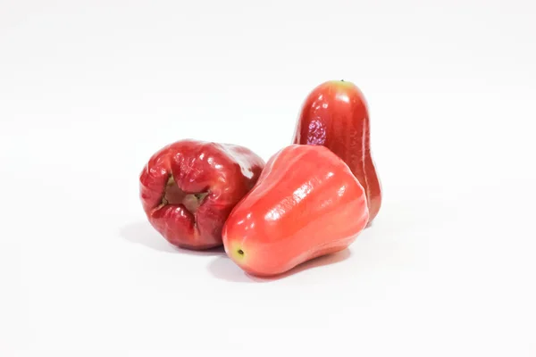 Chomphu und Rosenäpfel oder isoliert auf weißem Hintergrund — Stockfoto