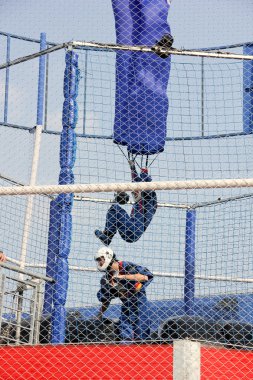 Redbull kapalı skydiving