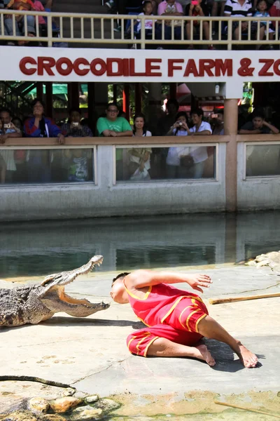 O show de crocodilo — Fotografia de Stock