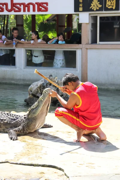 The crocodile show — Stock Photo, Image