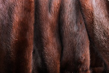 Mink fur clipart