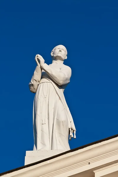 Staty av st. stanislaus i domkyrkan. Vilnius. Litauen. — Stockfoto
