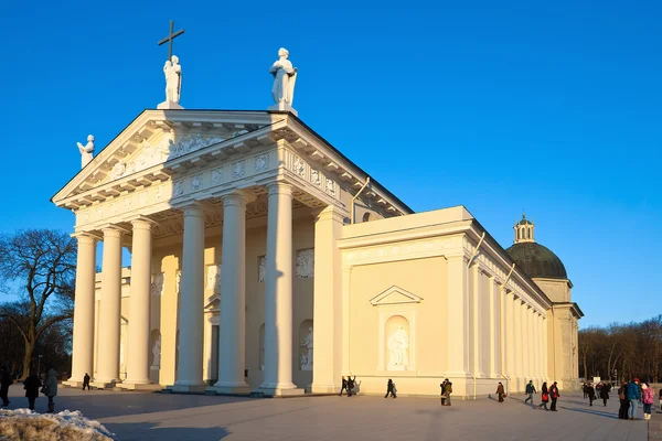 stock image Cathedral in Vilnius. Lithuania.