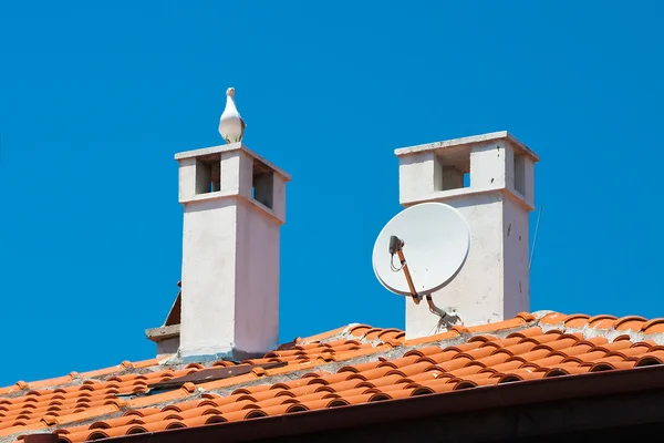 Seagull on the tiled roof. Nessebar, Bulgaria. — Stock Photo, Image