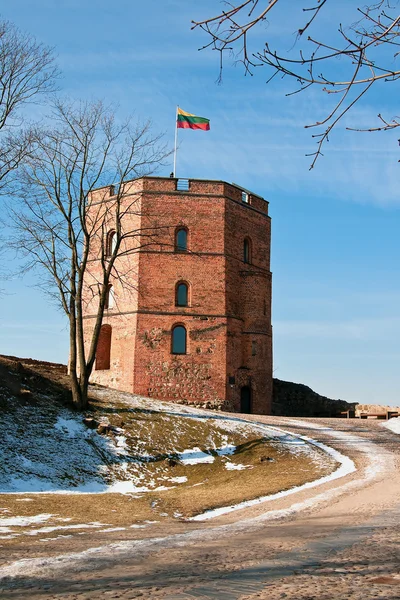 上部の城の西タワー — ストック写真