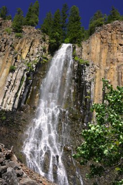 Palisades Falls at Gallatin National Forest clipart