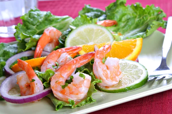 Seasoned Cocktail Shrimp Plate — Stock Photo, Image