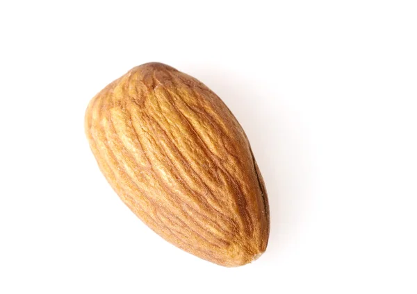 A Single Almond on White Background — Stock Photo, Image