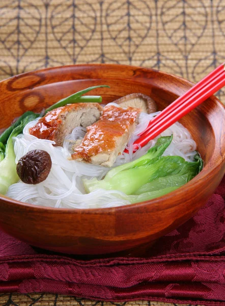 Sopa de macarrão de pato de Pequim — Fotografia de Stock