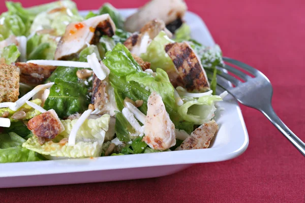 Salada de frango churrasco — Fotografia de Stock
