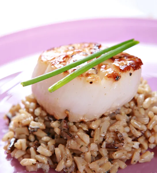 Roasted scallop over brown rice closeup — Stock Photo, Image