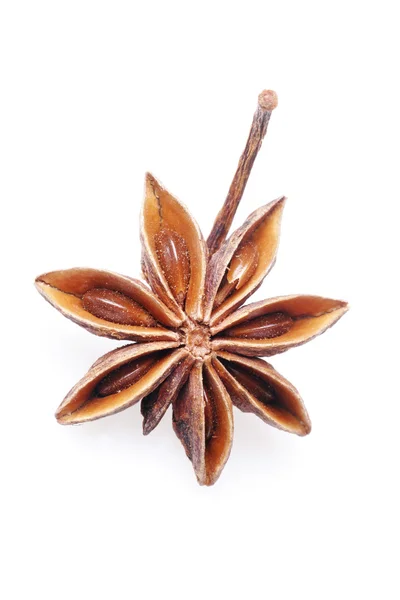 stock image Single anise star