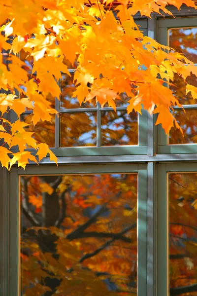 Φθινοπωρινό χρώμα από το παράθυρο — Φωτογραφία Αρχείου